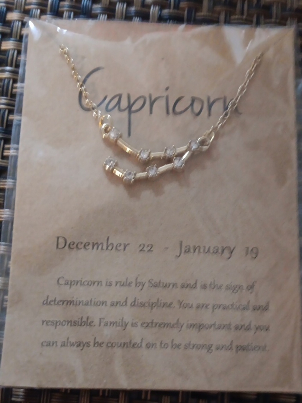Capricorn Gold Tone Double Bar Necklace with Cubic Zirconia